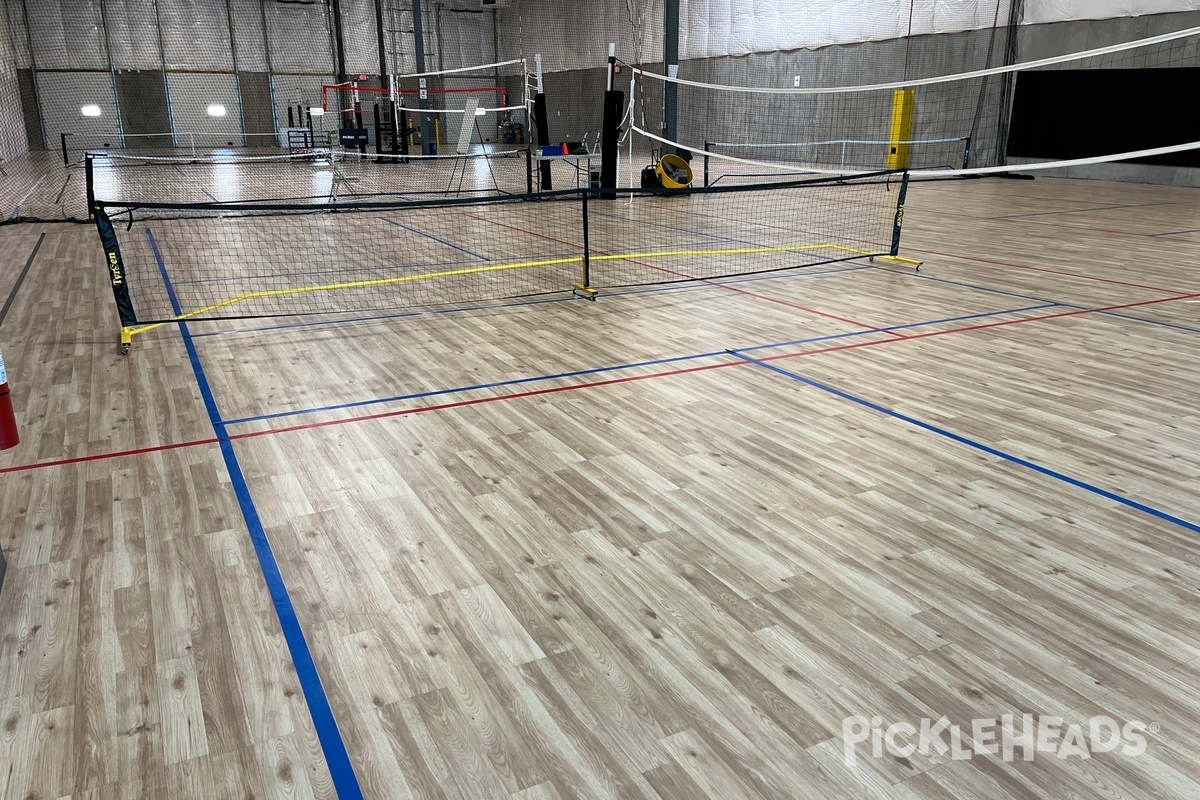 Photo of Pickleball at Net Panic Pickleball